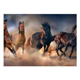 Konie w pustynnej burzy piaskowej na tle dramatycznego nieba