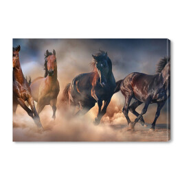 Konie w pustynnej burzy piaskowej na tle dramatycznego nieba
