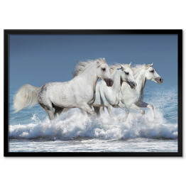 Stado białych koni biegnących galopem brzegiem oceanu