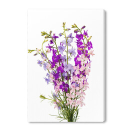 Dzikie kwiaty w różnych odcieniach fioletu