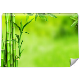 Bambus na zielonym tle