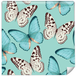 Kolorowe wzorzyste motyle na niebieskim tle