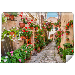 Włoskie uliczki udekorowane kwiatami w słoneczny dzień