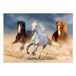 Trzy konie z długimi grzywami galopujące przez pustynię