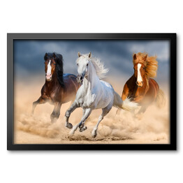 Trzy konie z długimi grzywami galopujące przez pustynię