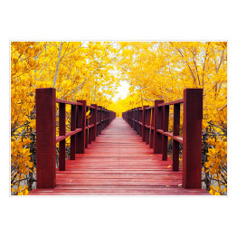 Jesienny las i drewniany most