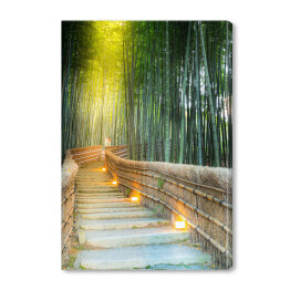 Arashiyama las bambusowy z podświetlonym mostkiem