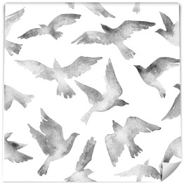 Akwarela - popielate ptaki w trakcie lotu na białym tle