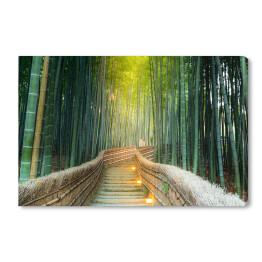 Arashiyama - las bambusowy