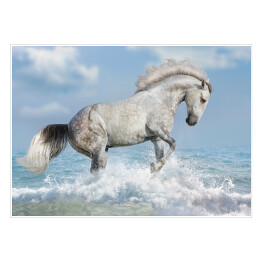 Biały koń biegnący brzegiem oceanu