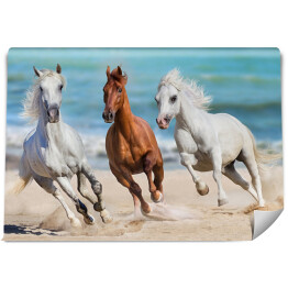 Dwa białe i brązowy koń biegnące na plaży