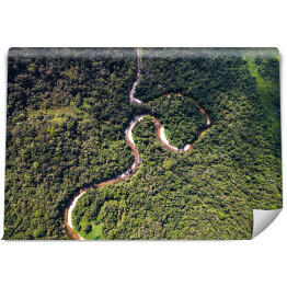 Odgórny widok na rzekę w tropikalnym lesie deszczowym, Brazylia