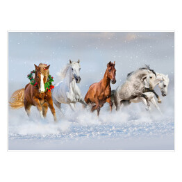 Stado koni w śniegu - obraz świąteczny