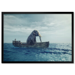 Słoń w łodzi na morzu
