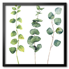 Akwarela - okrągłe liście i gałązki 