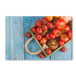 Zbiór różnych rodzajów czerwonych pomidorów