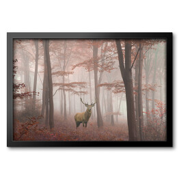 Jeleń w lesie we mgle jesienią