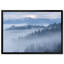 Góra krajobraz z jedlinowym lasem i mgłą