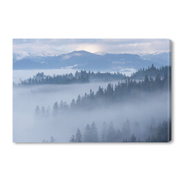 Góra krajobraz z jedlinowym lasem i mgłą