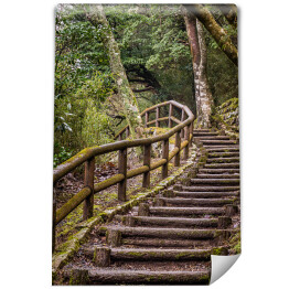 Park Japoński - szlak i drewniane schody