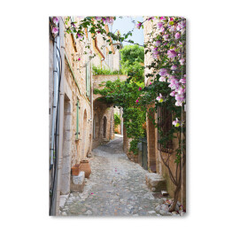 Piękna stara kamienna ulica obrośnięta bluszczem we Francji