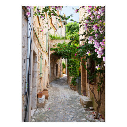 Piękna stara kamienna ulica obrośnięta bluszczem we Francji