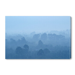 Tropikalny las deszczowy we mgle w odcieniach koloru niebieskiego