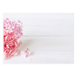 Różowy goździk na białym, drewnianym stole