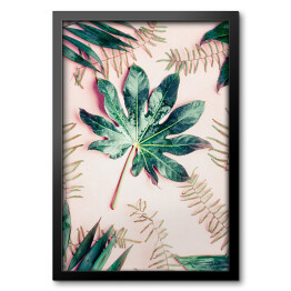 Kompozycja z różnych liści tropikalnych palm na pastelowym różowym tle - widok z góry