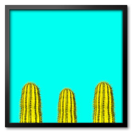 Kilka zielonych kaktusów na niebieskim tle