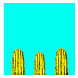 Kilka zielonych kaktusów na niebieskim tle