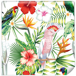 Tropikalne papugi i egzotyczne liście na białym tle