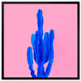 Niebieski kaktus na różowym tle