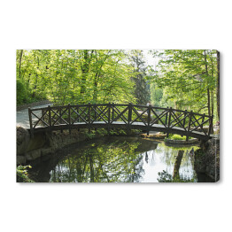 Stary drewniany most w parku wiosną
