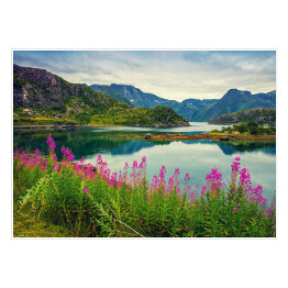 Widok na norweski fiord, skaliste wybrzeże, pochmurne błękitne niebo i kwitnące różowe kwiaty
