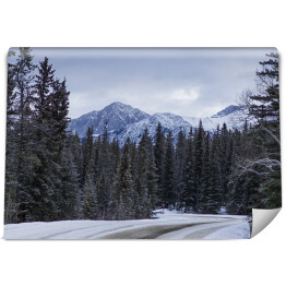 Zima w górach, Park Narodowy Jasper, Jasper Alberta