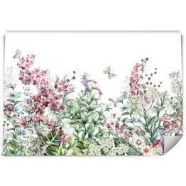 Fototapeta winylowa zmywalna bezszwowe obręcz. Granica z ziół i dzikich kwiatów, liści. Ilustracja botaniczna Kolorowa ilustracja na białym tle. Wiosna kompozycja z motylem