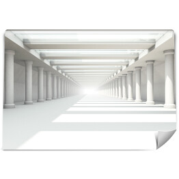 Białe pomieszczenie z symetrycznymi kolumnami 3D