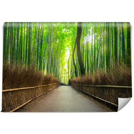Bambusowy las Arashiyama w pobliżu Kyoto, Japonia