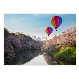 Lot balonem nad kwitnącymi japońskimi wiśniami