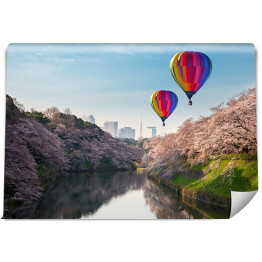 Lot balonem nad kwitnącymi japońskimi wiśniami