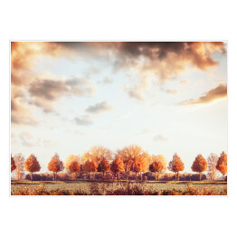 Piękna jesień - panorama z drzewami, polem i niebem