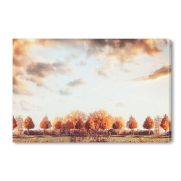 Piękna jesień - panorama z drzewami, polem i niebem
