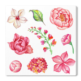 Akwarela - różowe kwiaty i zielony listek na białym tle