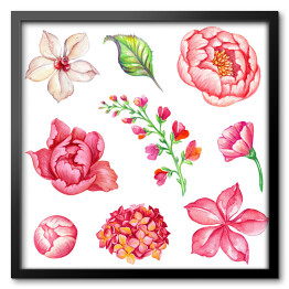 Akwarela - różowe kwiaty i zielony listek na białym tle