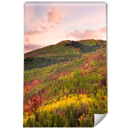Kolorowy las wokół Wasatch Mountains of Utah