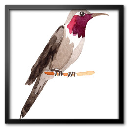 Akwarela - dekoracyjny ptak