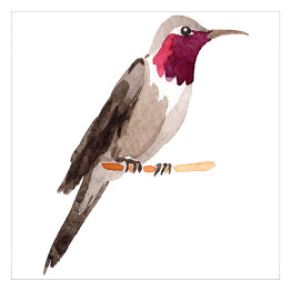 Akwarela - dekoracyjny ptak