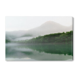 Góry i las w mglisty, deszczowy dzień