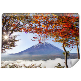 Jesienny wodok na Fuji, Japonia